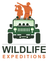 Wildlife Expeditions